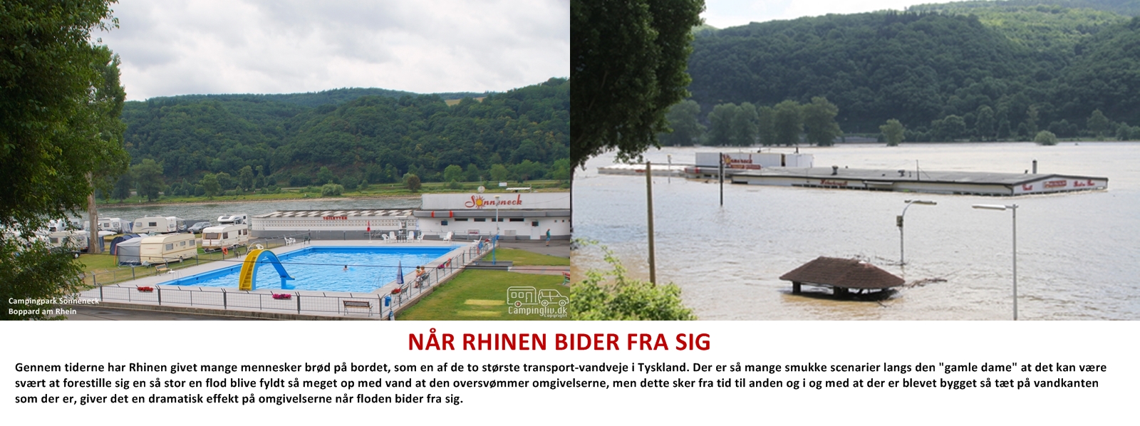 Rhein-hochwasser