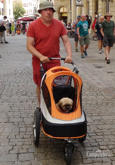 Regensburg-with-dog