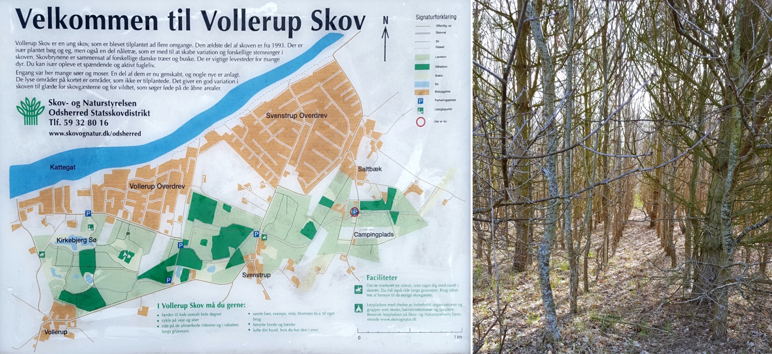 Kalundborg-Camping_Vollerup-Skov
