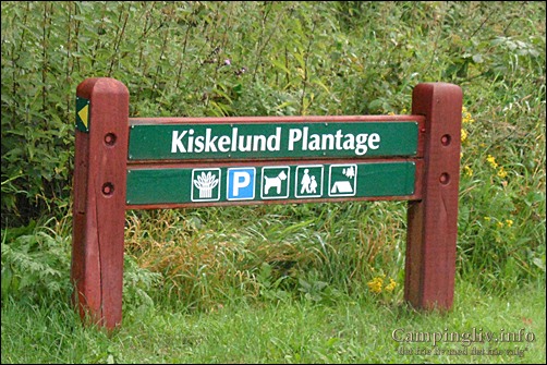 Kiskelund_Plantage_Krusaa