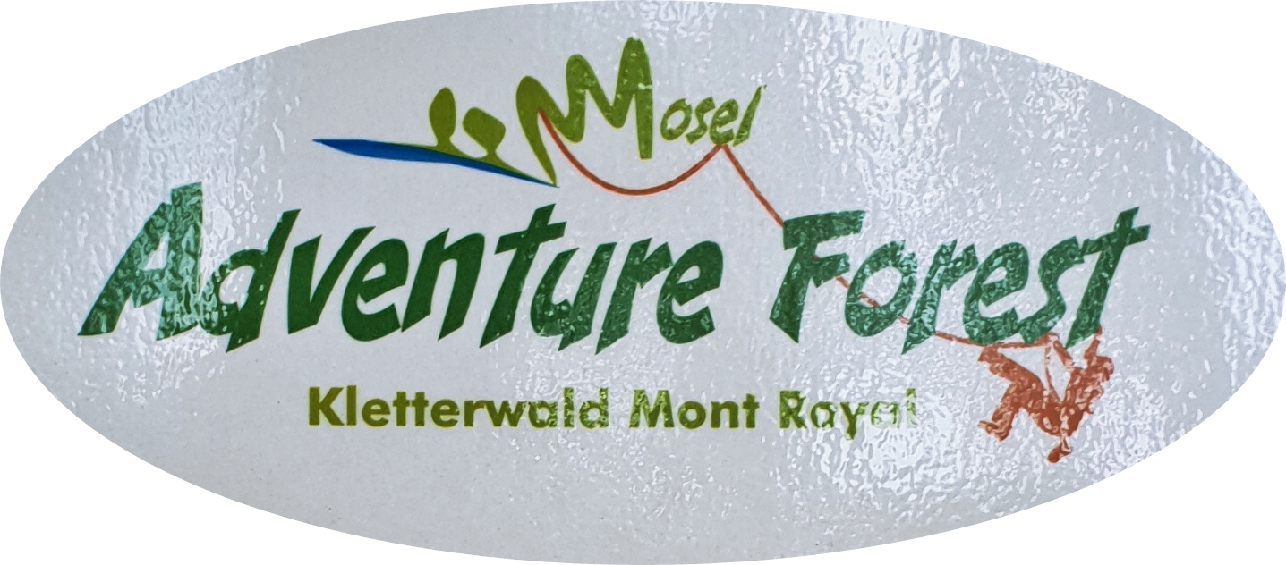 Mont Royal_Adventure Forest