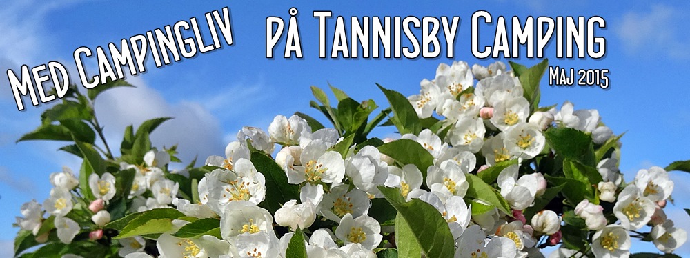 Tannisby-Camping