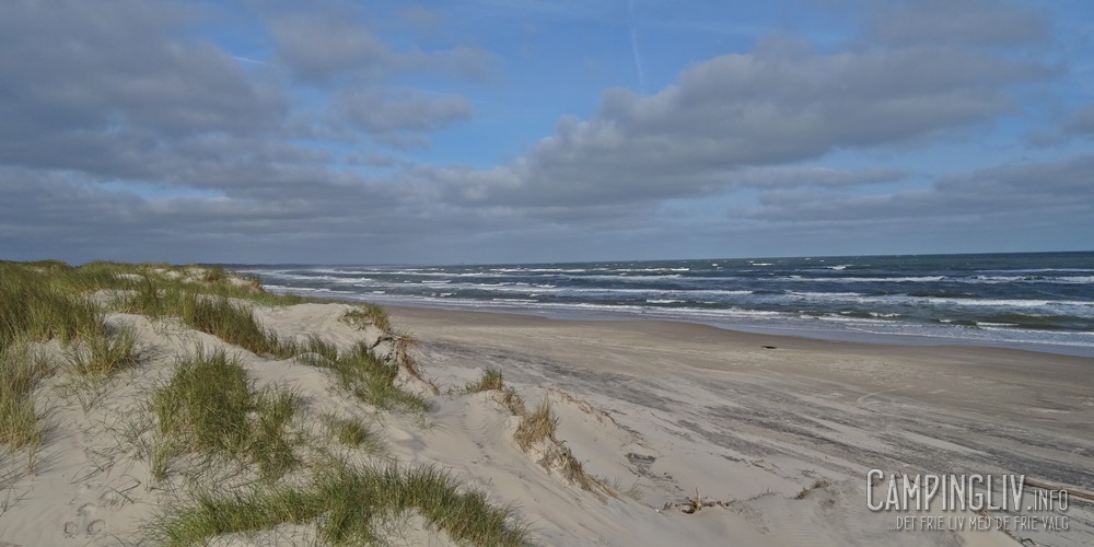 Tversted-Strand-Tannisby