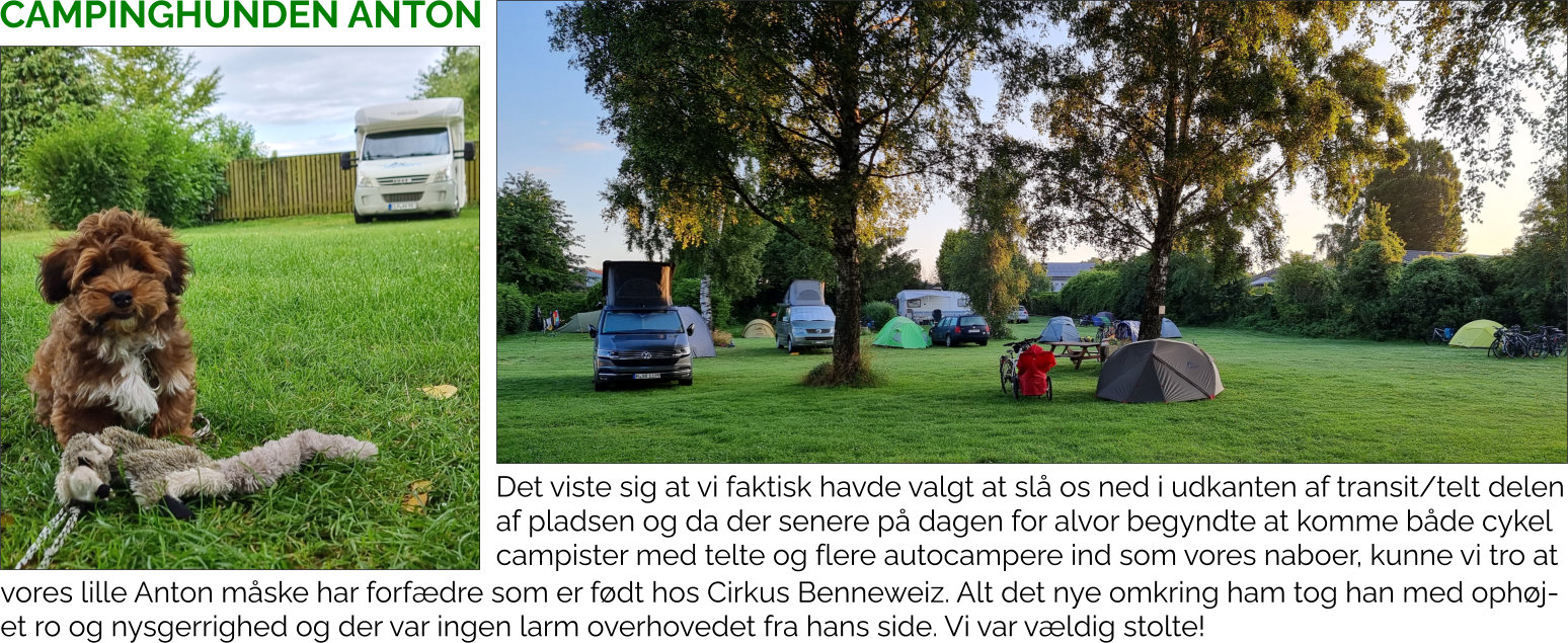 Faxe Ladeplads Camping