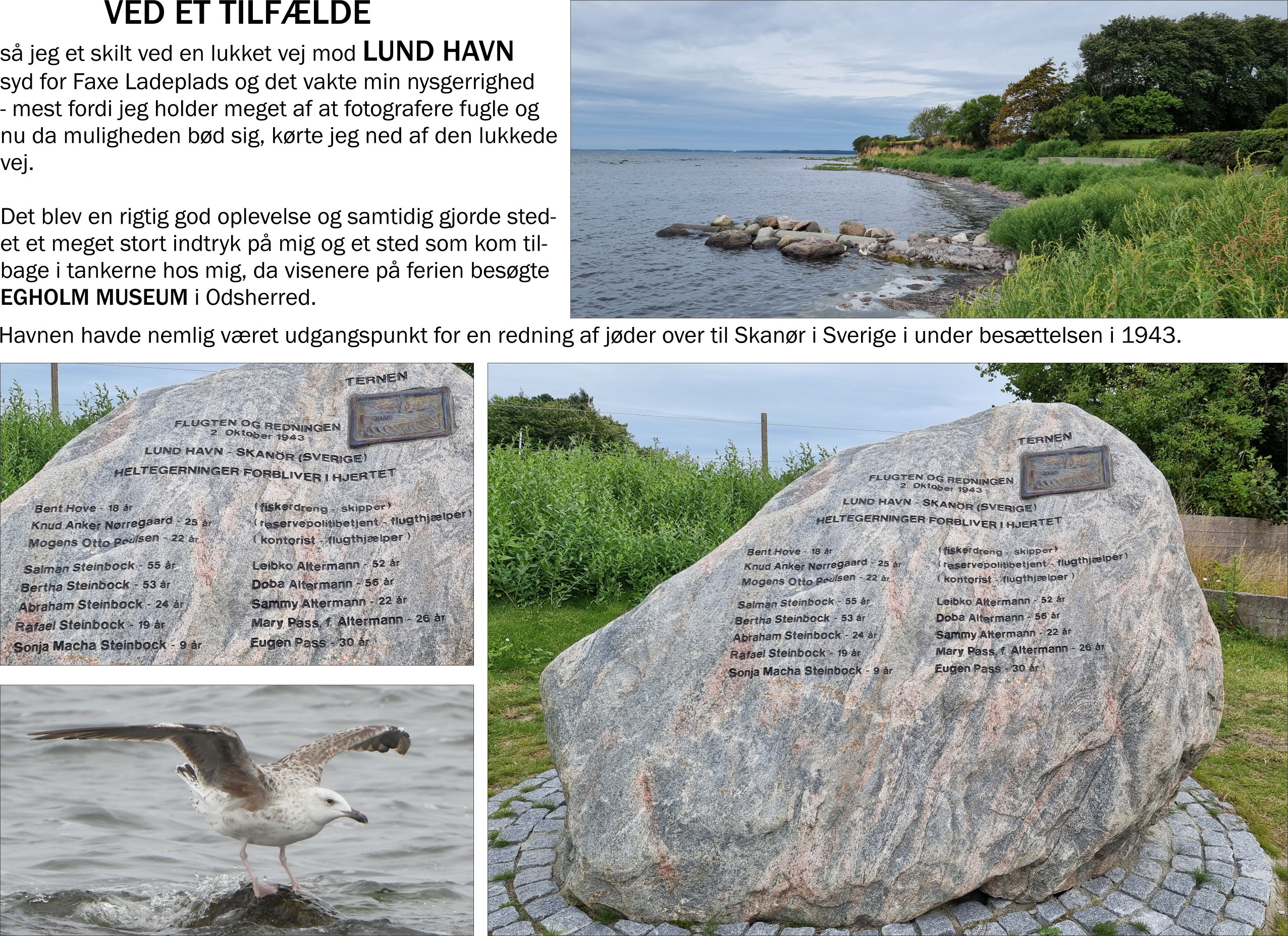 Lund_Havn